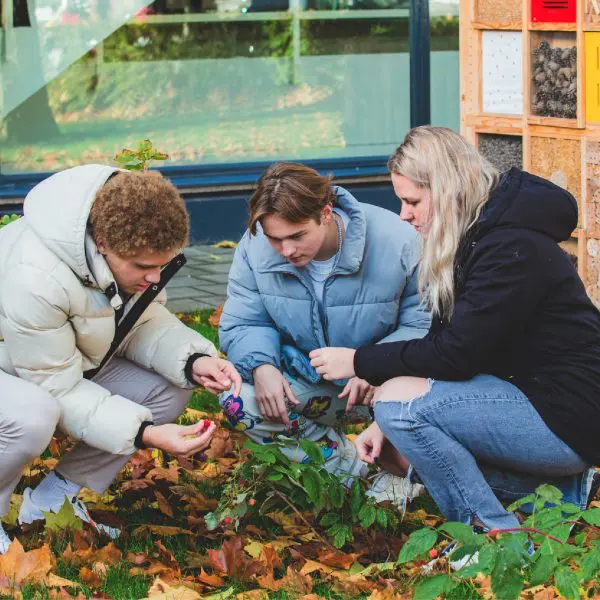 OnderwijsBuitenbekwaam leren