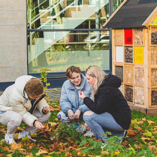 Minor Onderzoekend en ontwerpend leren